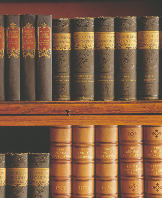 Antique Books nested together on shelves