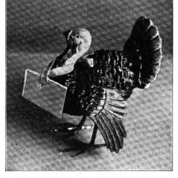 a person posing for a photo