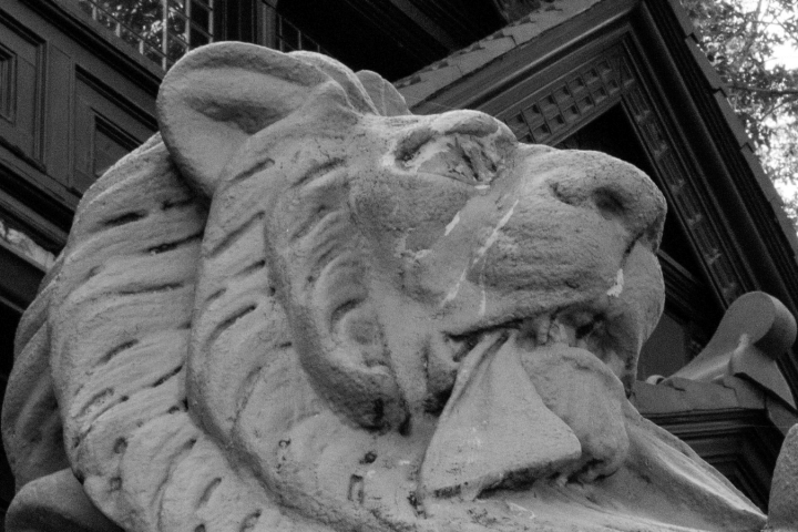 Stone lion sculpture near building facade in black and white.